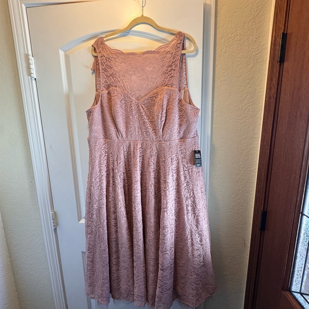 torrid Lace Fit & Flare Dress in Blush Pink